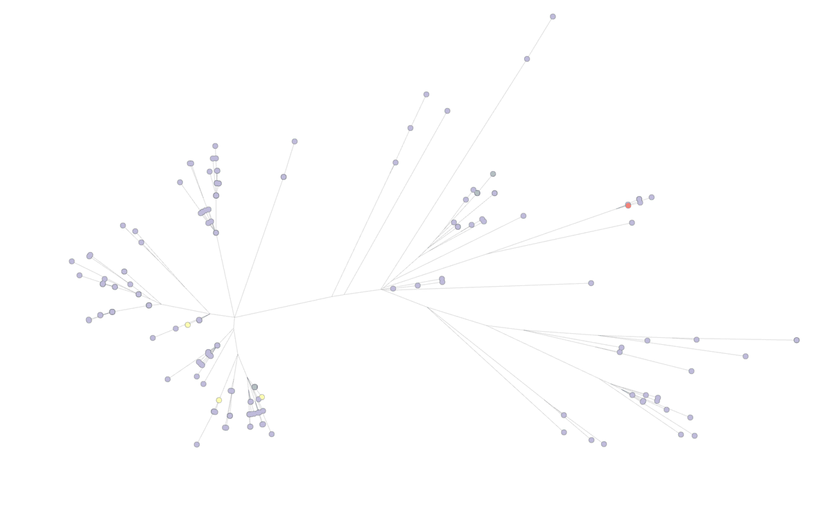 Generic radial tree diagram